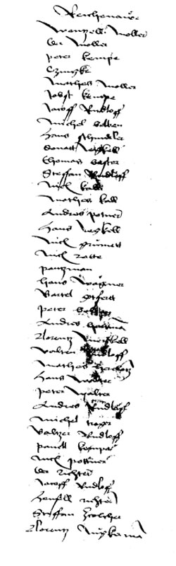 Türkensteuerliste von  Reichenau. 1502
