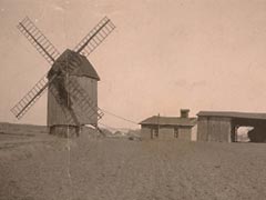 Bergholz/Saarmund. Windmühle meiner Urgroßeltern. Um 1895