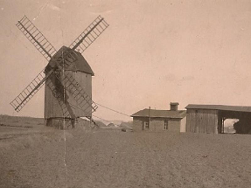 Bergholz. Windmühle meiner Urgroßeltern Görges. Um 1895